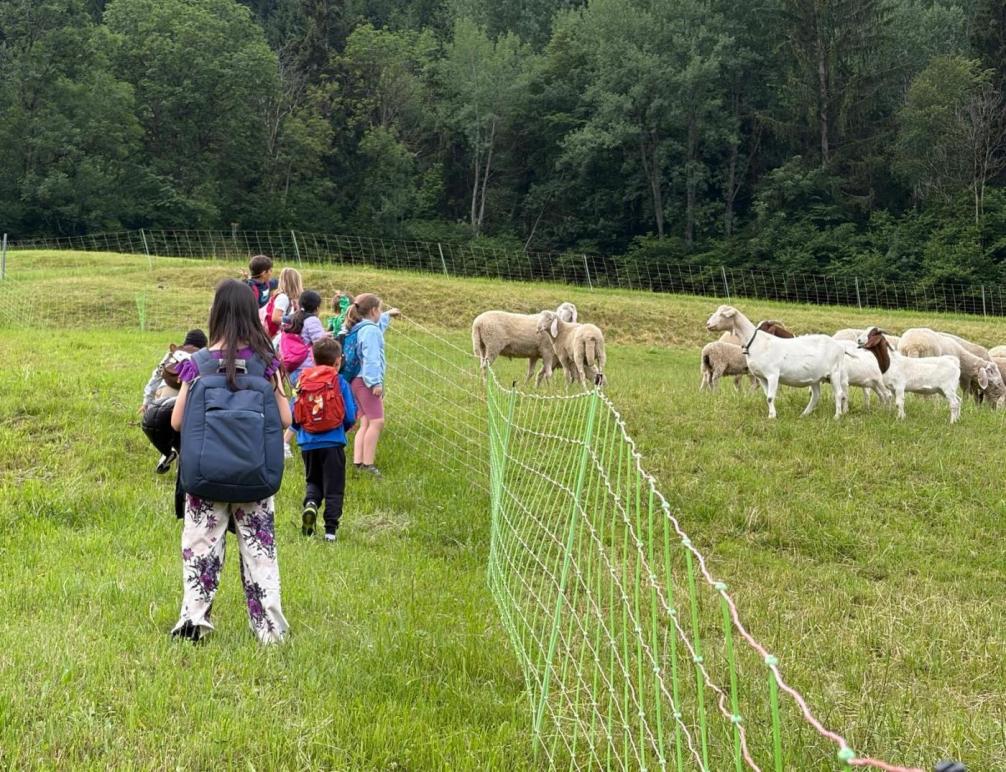 Wandertag 1a