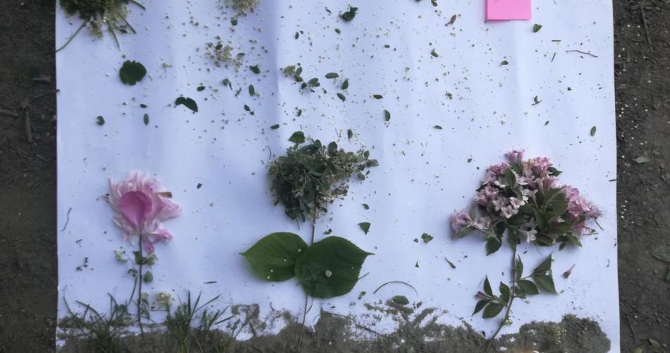 Landart 4b