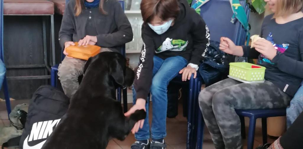 Nicole PET Buddy Kinder mit Hund