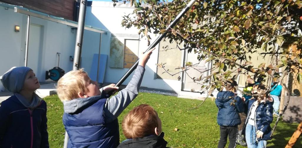 Kinder ernten Äpfel