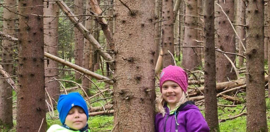 Kinder im Wald