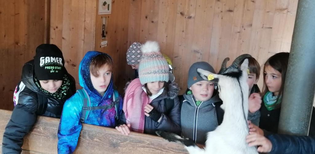 Nicole PET Buddy Kinder und Ziege