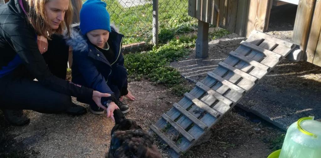 Frau und Kind füttern Henne