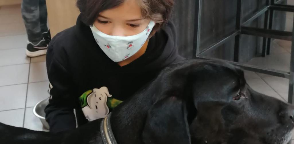 Nicole PET Buddy Kind streichelt Hund