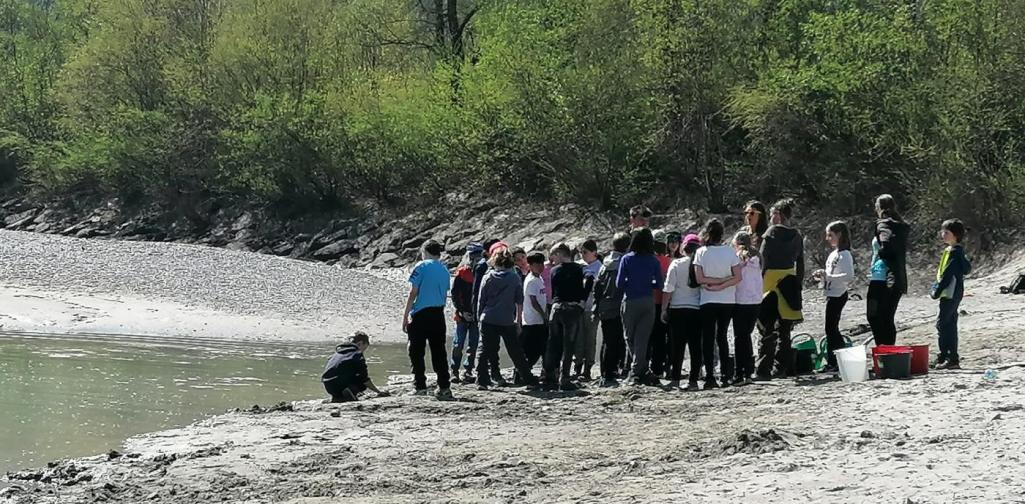 Natopia4ab Natopia 4a & 4b