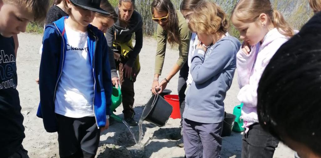 Natopia4ab Natopia 4a & 4b