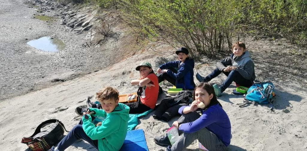 Natopia4ab Natopia 4a & 4b