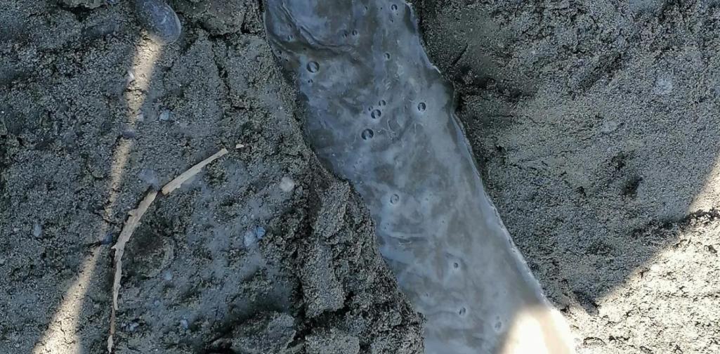 Natopia4ab Natopia 4a & 4b