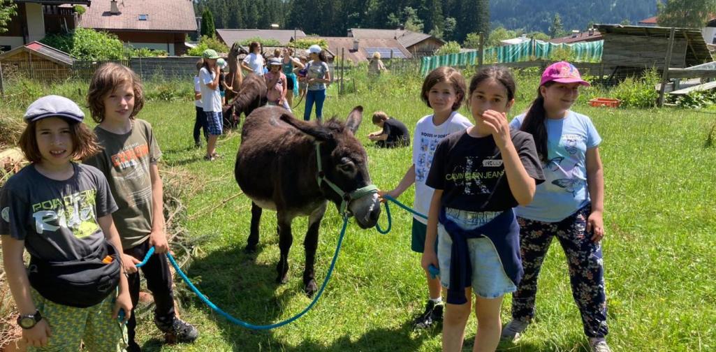 Klassenfahrt Klassenfahrt der 4.Klassen