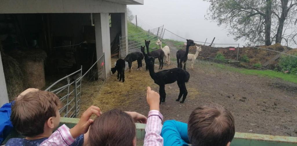 Klassenfahrt der 4.Klassen