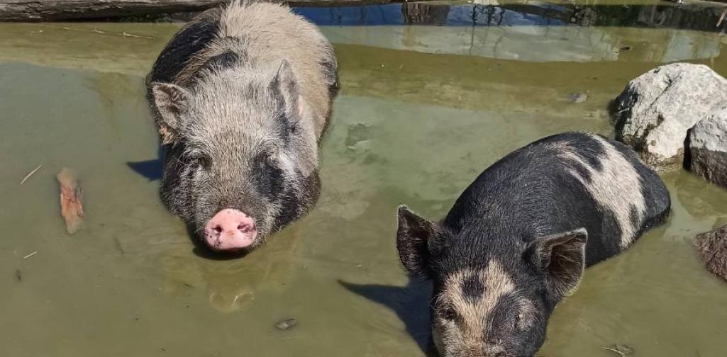 Klassenfahrt der 4.Klassen