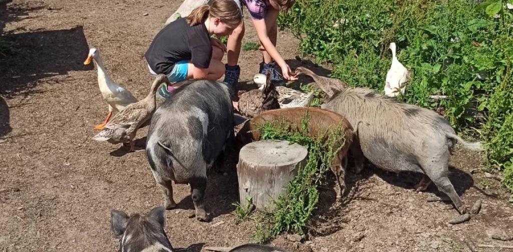 Klassenfahrt der 4.Klassen