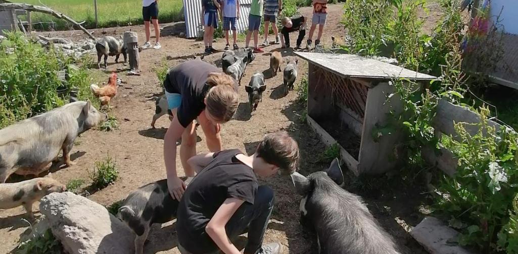 Klassenfahrt Klassenfahrt der 4.Klassen