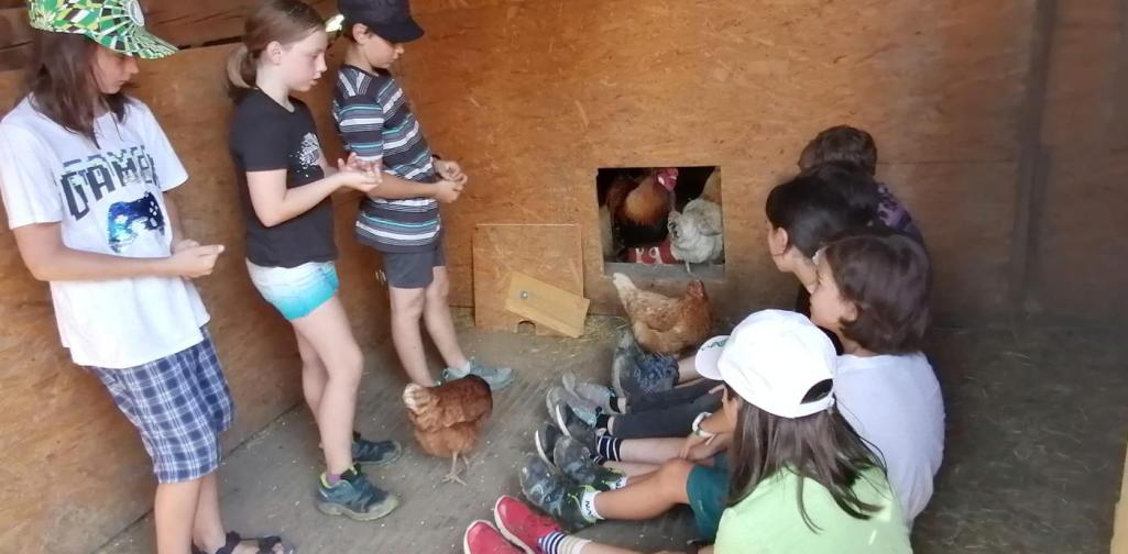 Klassenfahrt Klassenfahrt der 4.Klassen