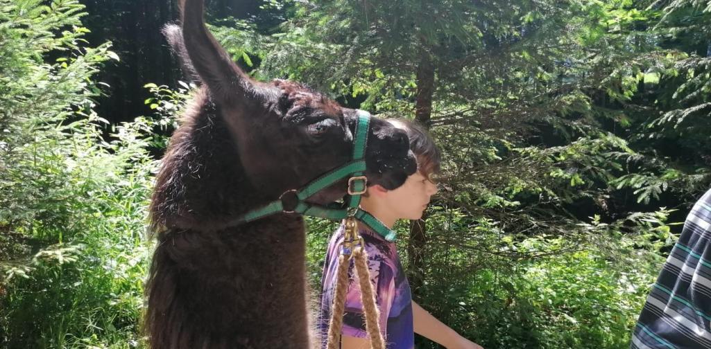 Klassenfahrt Klassenfahrt der 4.Klassen