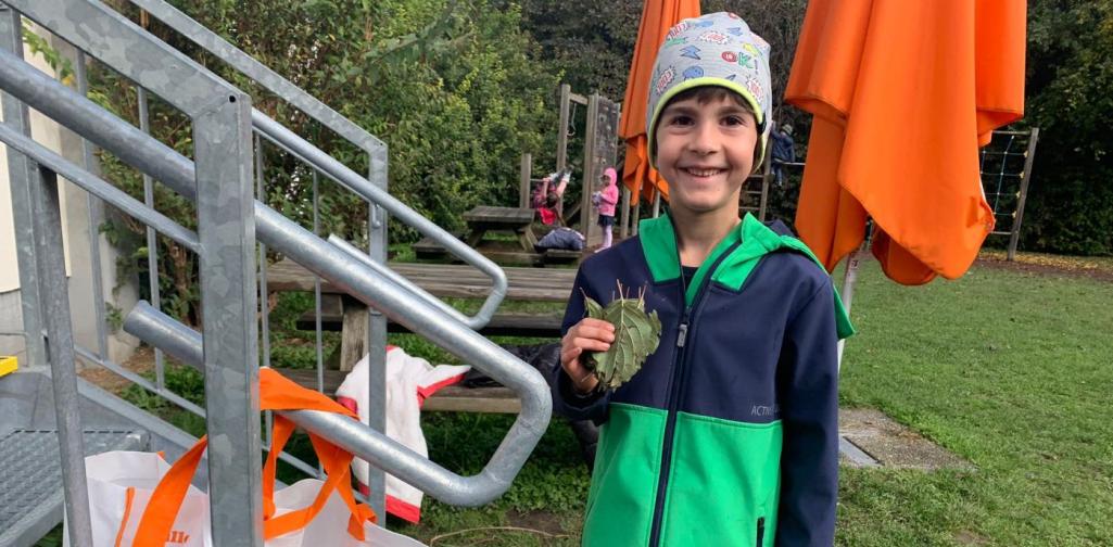 Zuhause für den Igel