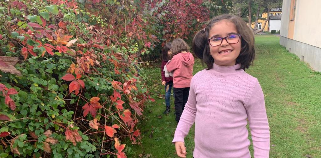 Zuhause für den Igel