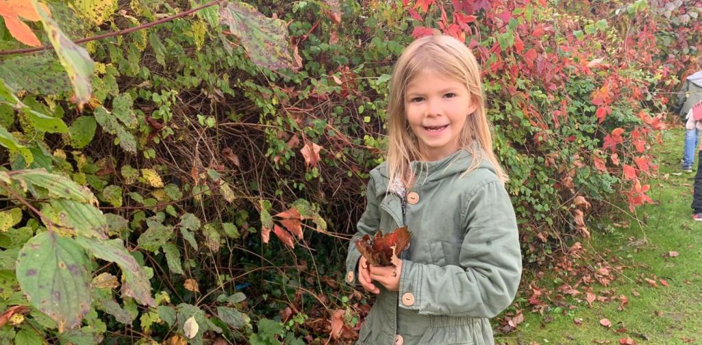 Zuhause für den Igel