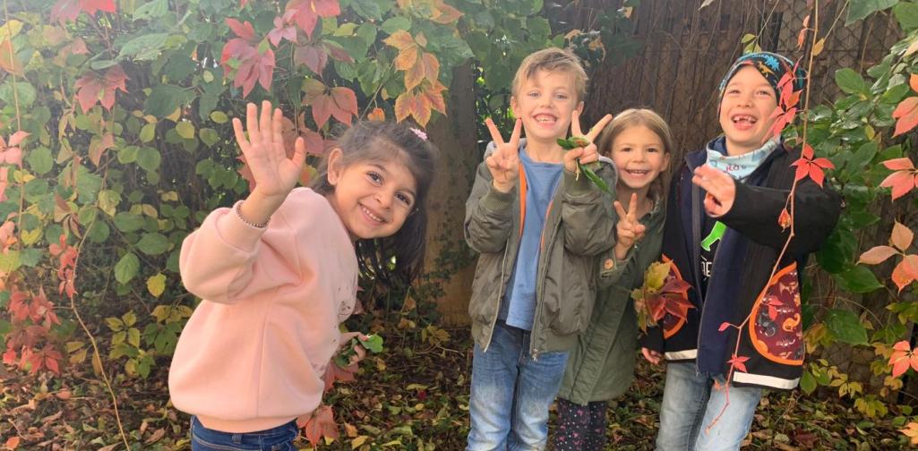 Zuhause für den Igel