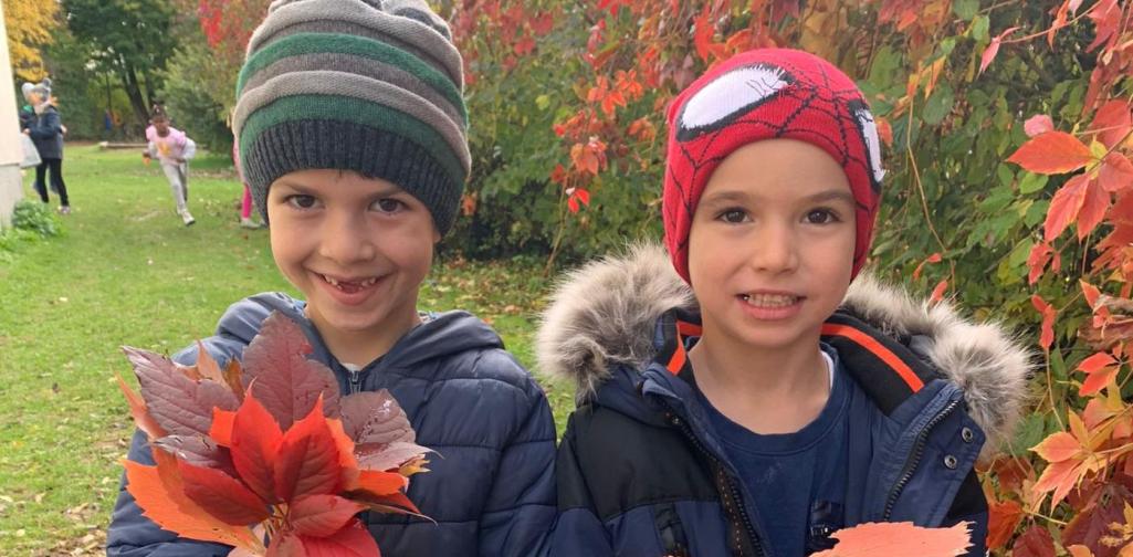 Zuhause für den Igel