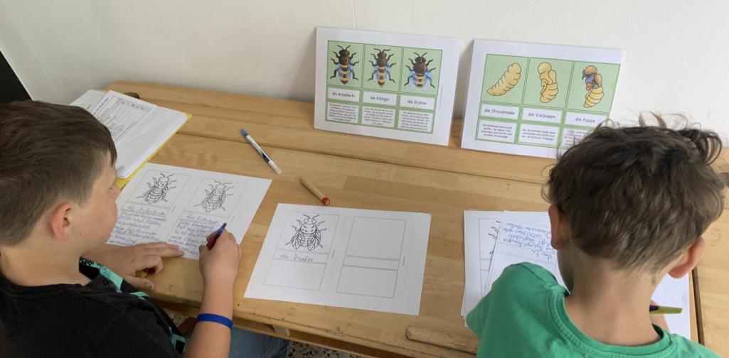 Biene15 Biene schreiben