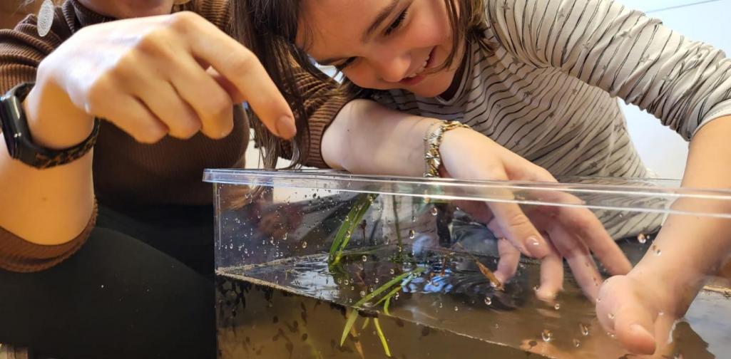 Teich3 Aquarium einrichten