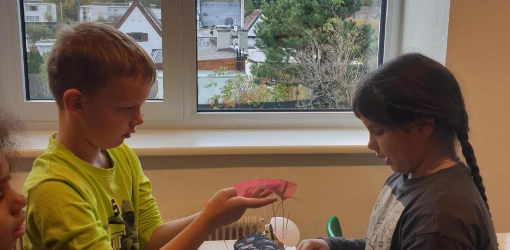 Andrea Widmoser Bild1