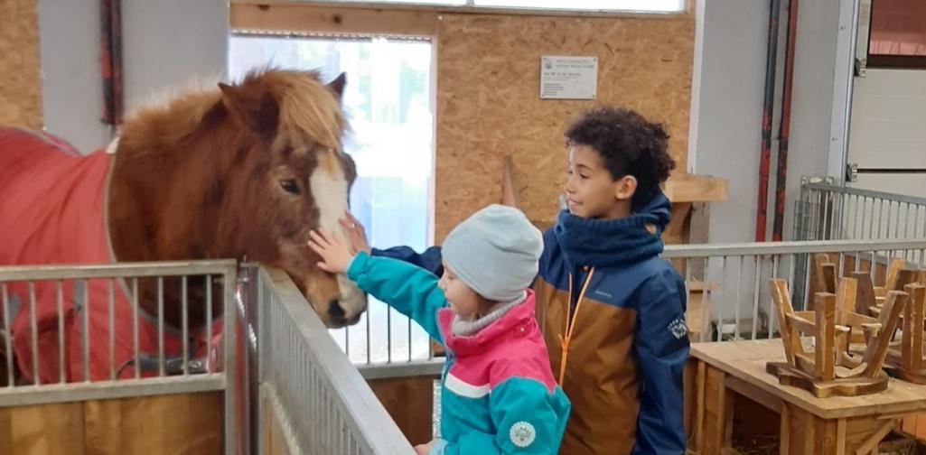 VS Sieglanger Ein Besuch im Stall