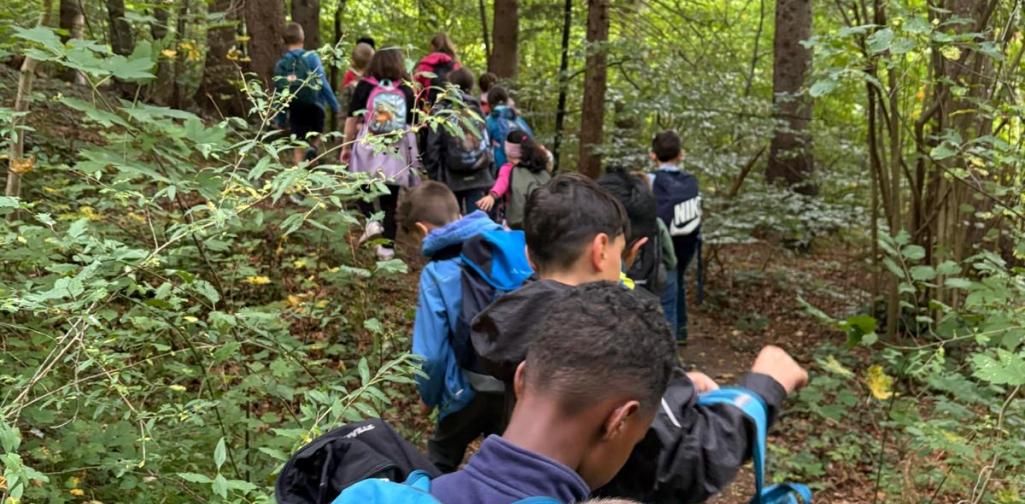 W3ab Wandertag 3a und 3b